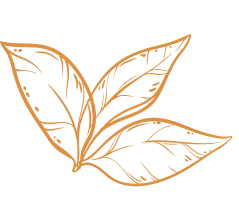 Concentrated Taiwan Milk Tea Powder  Gallery Corner Top Image