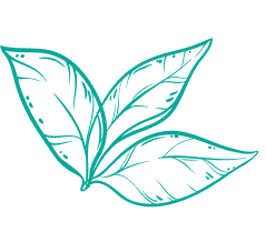 100% Thai Tea Powder Gallery Corner Top Image