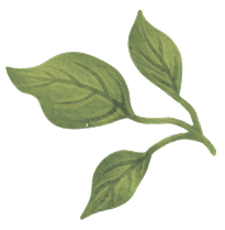 GREEN TEA LEAF Gallery Corner Bottom Image