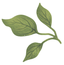 Concentrated Ceylon Milk Tea Powder Gallery Corner Bottom Image